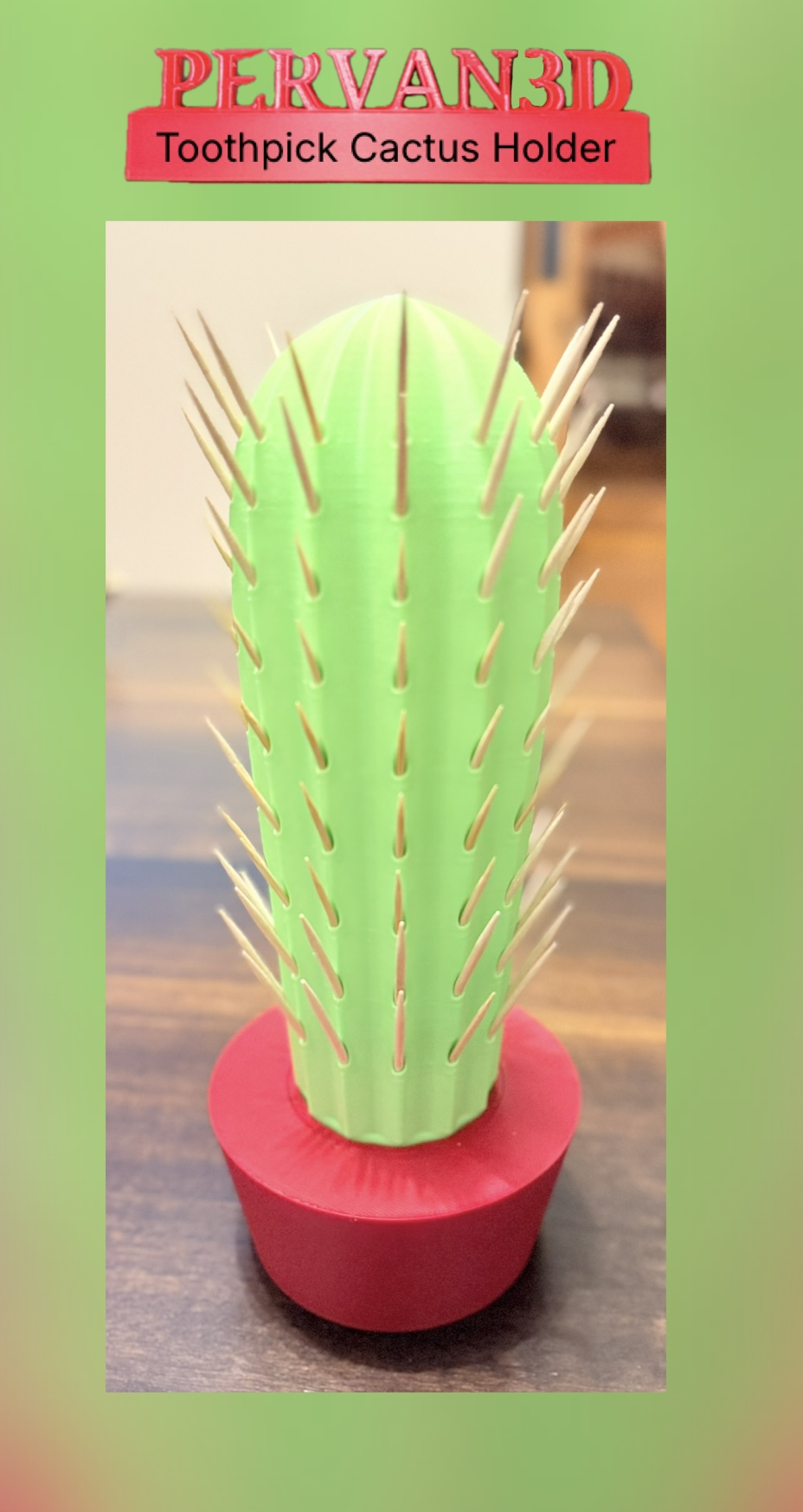 Cactus Toothpick Holder